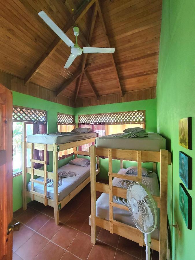 Casa Terra Hostel ซามารา ภายนอก รูปภาพ