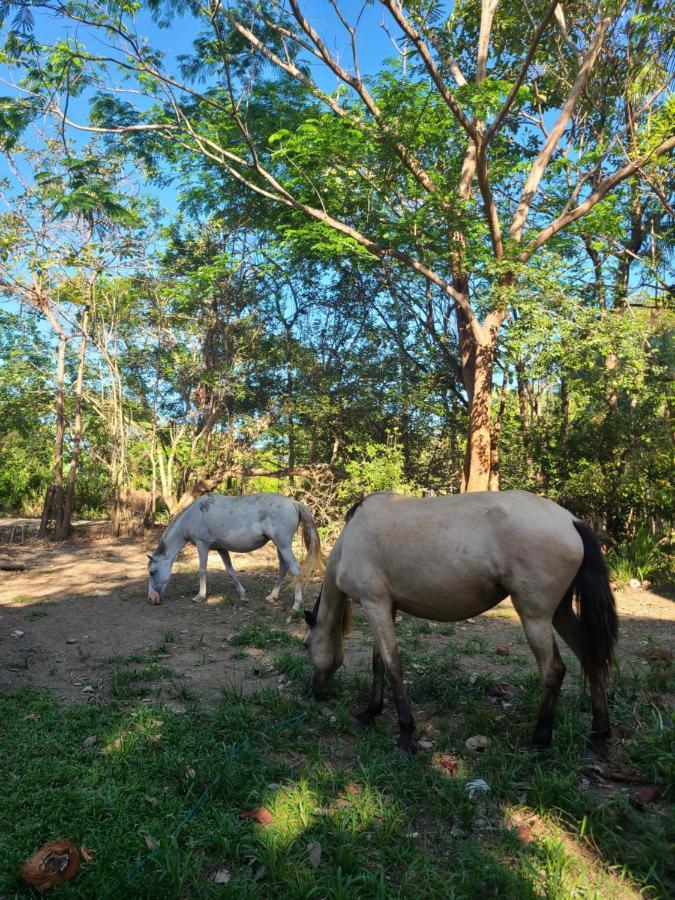 Casa Terra Hostel ซามารา ภายนอก รูปภาพ